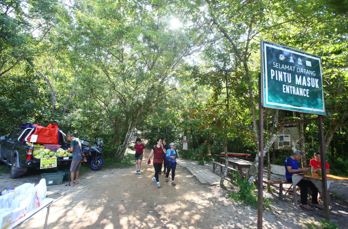 蒲种宏愿山禁区“野餐党”不长记性！2周抓75人仍有人偷闯，森林局怒了！